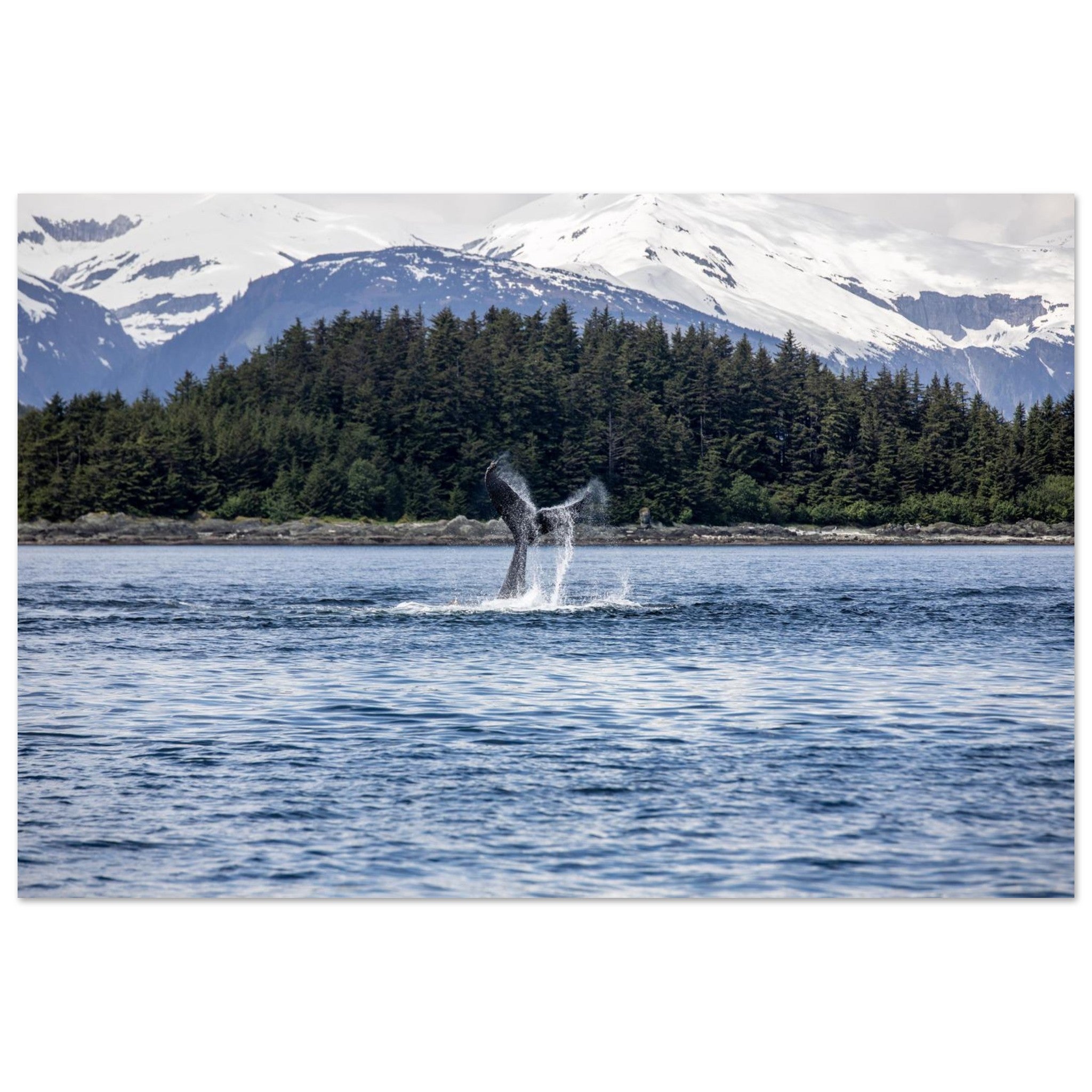 aed946b8-6dcc-48c1-a2f7-c6735a77fd36