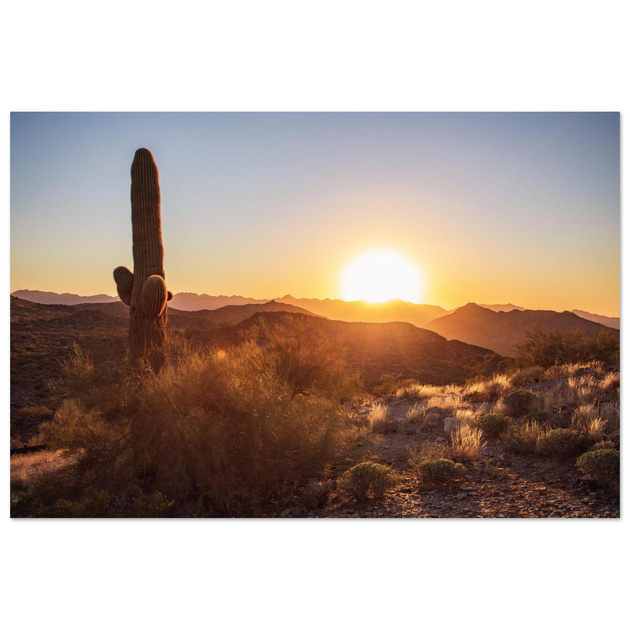 d7ed459f-a9c0-41e0-afc6-7bbfb8d4f564