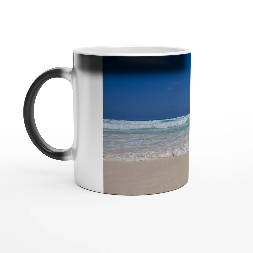 dcd3f305-a575-4054-aa0b-f416aaf81422